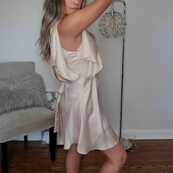 Pearl Pink Satin Dress - Picture 12 of 16